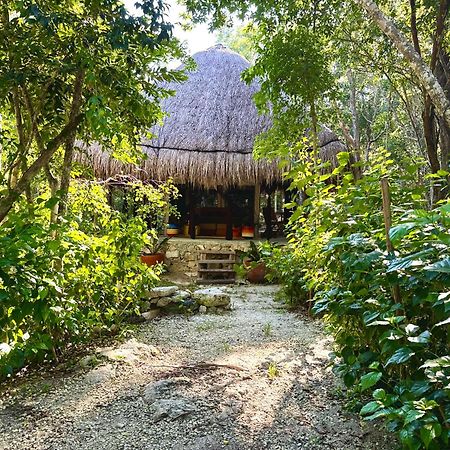 Hotel Glamping Bunga Lotus Tulum Esterno foto
